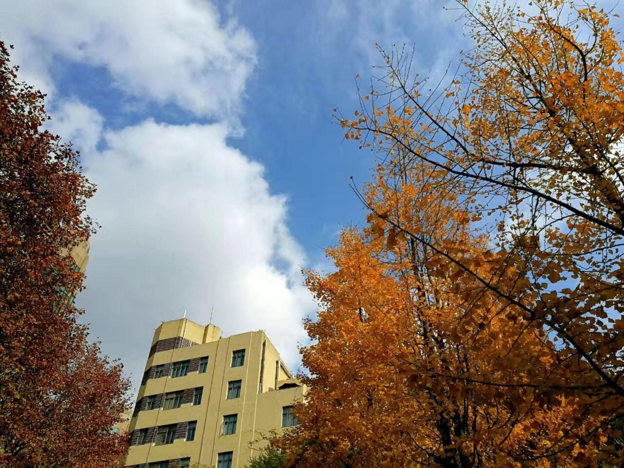 @ Gallery Suites Şanghay Dış mekan fotoğraf