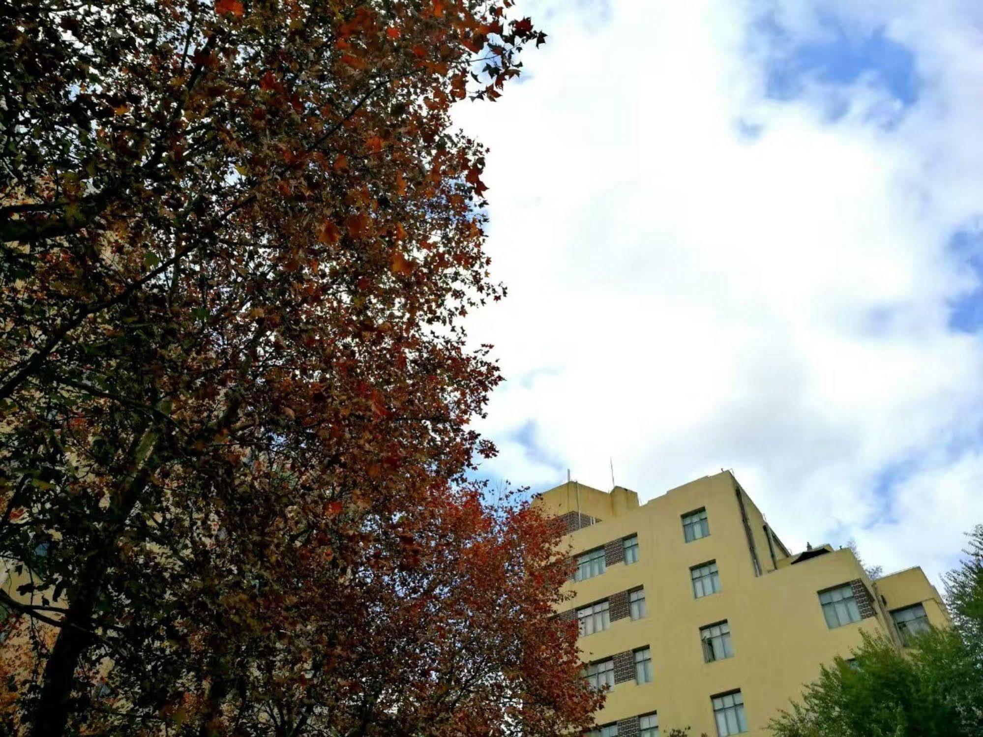 @ Gallery Suites Şanghay Dış mekan fotoğraf